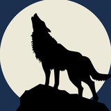 Telegram profile photo for -🐺黑狼更新翻譯🐺-