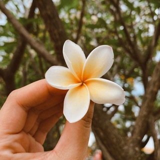 Telegram profile photo for WHATSAPP STATUS LOVER
