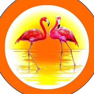 Telegram profile photo for ๐ Planeta de animales ๐ช๐ธ