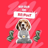 Telegram profile photo for Re:Post