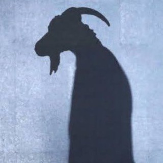 Telegram profile photo for Betting Hub π
