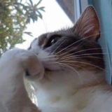 Telegram profile photo for Сетка Кудесника