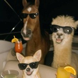 Telegram profile photo for Базовый минимум