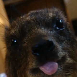 Telegram profile photo for 【 Название 】