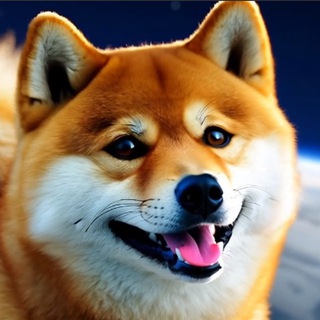 Telegram profile photo for Hailuo Inu ($HI) Portal