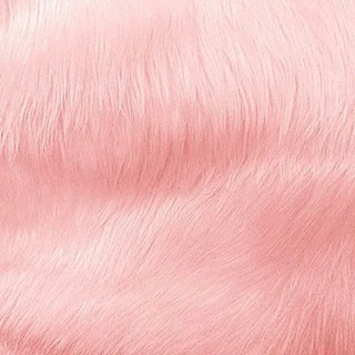 Telegram profile photo for Шопогольное свинство 🐽