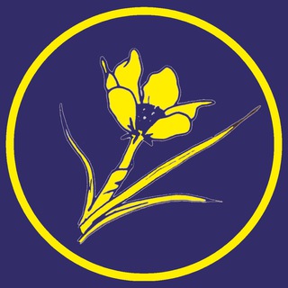 Telegram profile photo for GNM Institute public channel