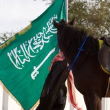 Telegram profile photo for حميد الجهني