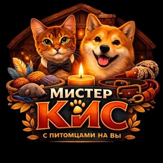 Telegram profile photo for Мистер кис