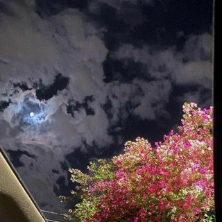 Telegram profile photo for أدعية ليوم عرفة 🤍.