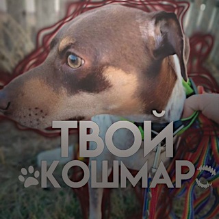 Telegram profile photo for Я твой кошмар)