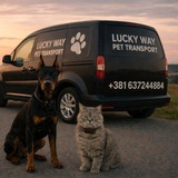 Telegram profile photo for Lucky Way