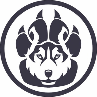 Telegram profile photo for Спасём Хаски | Save Husky