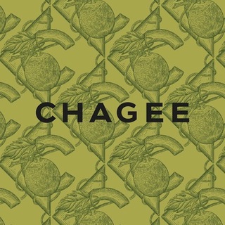 Telegram profile photo for CHAGEEapy-Indian Bank-China Payment