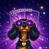 Telegram profile photo for WIENER DOGE PAYOUTS