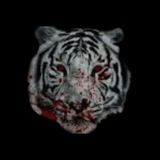 Telegram profile photo for .plebr
