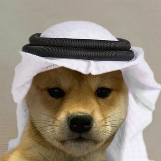 Telegram profile photo for Darky Calls 🎰