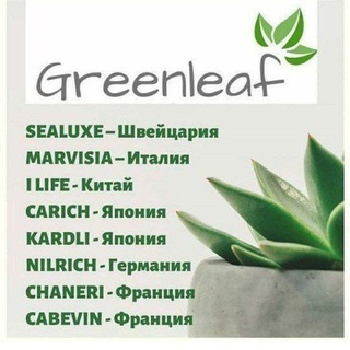 Telegram profile photo for 💚💚💚 Green leaf 💚💚💚zakazla-@Salomat1987_0327