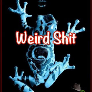 Telegram profile photo for WeirdShit2