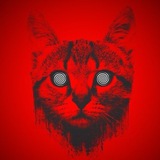 Telegram profile photo for Временный анальгетик