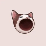Telegram profile photo for ππͺπ€π₯ππ£πͺ πππ¦πππ | SOLANA