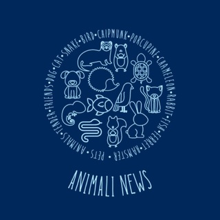 Telegram profile photo for πβπ¦Ί ANIMALI NEWS πββ¬