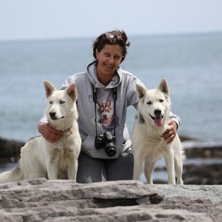 Telegram profile photo for На острове медведей и вулканов 🐻🌋🐶🐶📸