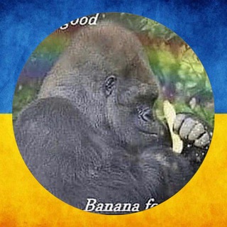 Telegram profile photo for monki collection | #УкрТг