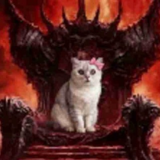 Telegram profile photo for Щоденник шизіка