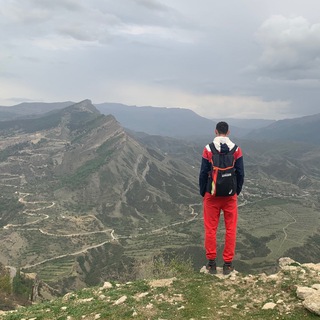 Telegram group profile photo for Приёмная