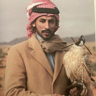 Telegram profile photo for محمد ابن فطيس