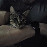 Telegram profile photo for πΓΊ π£π€ πππ’ππππ§Γ‘π¨...'ππ€π§πππ£|REST