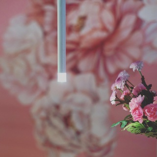 Telegram profile photo for Svetlana_Ilina_interiors