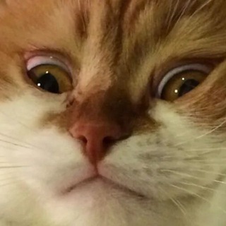 Telegram profile photo for Жизнь Кляксы