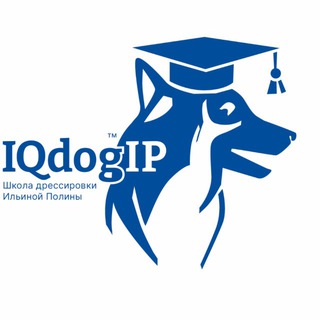 Telegram profile photo for IQDogIP - школа дрессировки собак Ильиной Полины