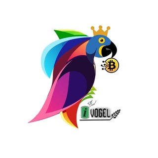 Telegram profile photo for IVOGEL OFFICIAL