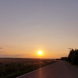 Telegram profile photo for Heilkräuter - лечебные травы