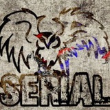 Telegram profile photo for SERIAL WOD