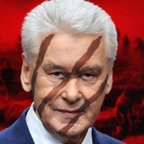 Telegram profile photo for Москва и Собянин: строительство небоскребов