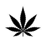 Telegram profile photo for ⚪️ Team GG 4:20