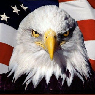 Telegram profile photo for Chatter Talk