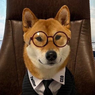 Telegram profile photo for Будьте осторожны!