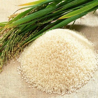 Telegram profile photo for مرکز برنج ایران allrice.ir