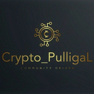 Telegram profile photo for 🐢CRYPTO PULLIGAL 🚀