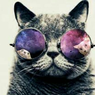 Telegram profile photo for gifparad