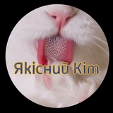 Telegram profile photo for Якісний Кіт
