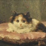 Telegram profile photo for "кошки акрилом"