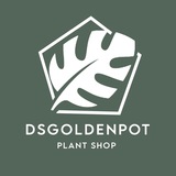 Telegram profile photo for DSGoldenPot