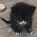 Telegram profile photo for ᴊᴜɪᴄʏ закрыто