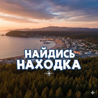 Telegram profile photo for Чат Найдись, Находка | Врангель | Партизанск